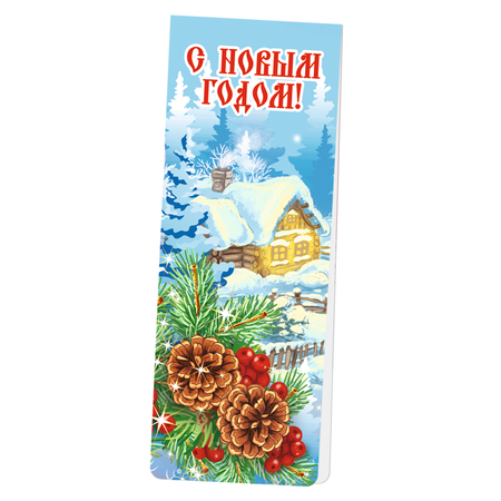 Набор магнитных закладок Символик НГ Шишки