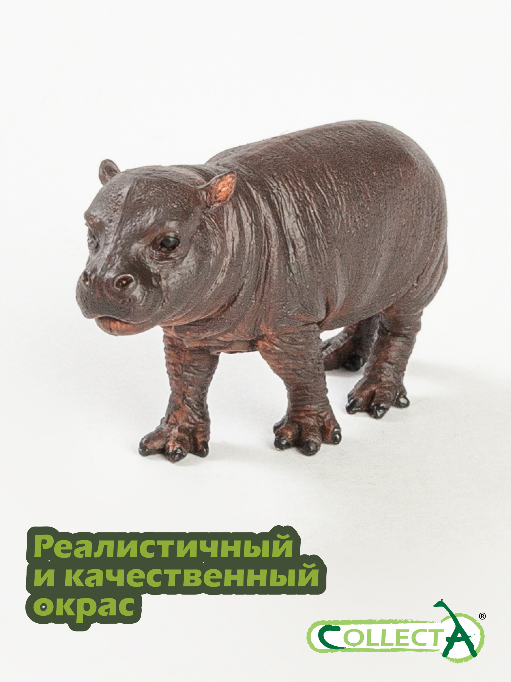 Фигурка Collecta Детёныш карликового бегемота - фото 4