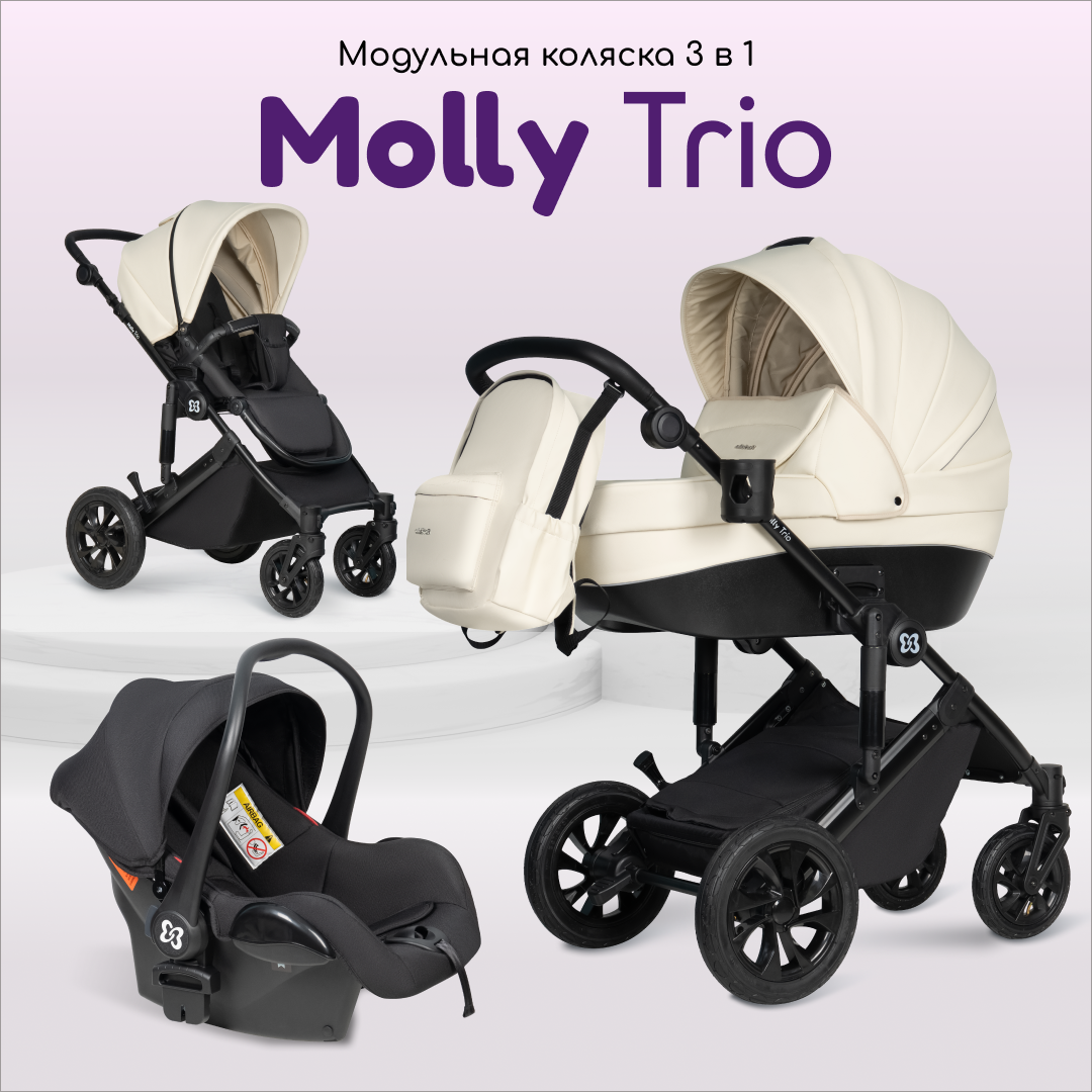Коляска 3в1 Farfello Molly Trio - фото 1