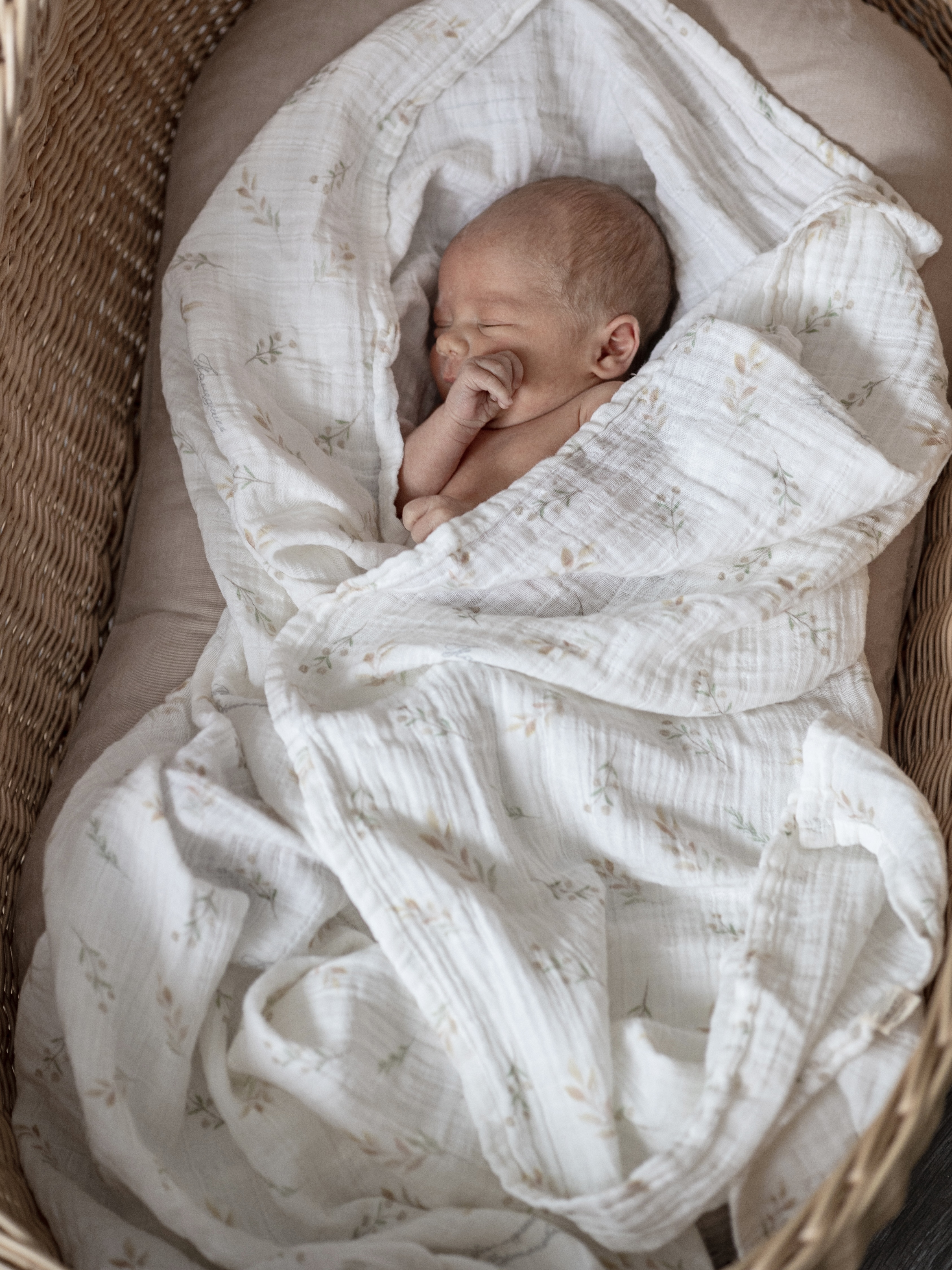 Пелёнка НаследникЪ Выжанова Набор муслиновых пеленок муслин 120х120 см 2 шт. - фото 2