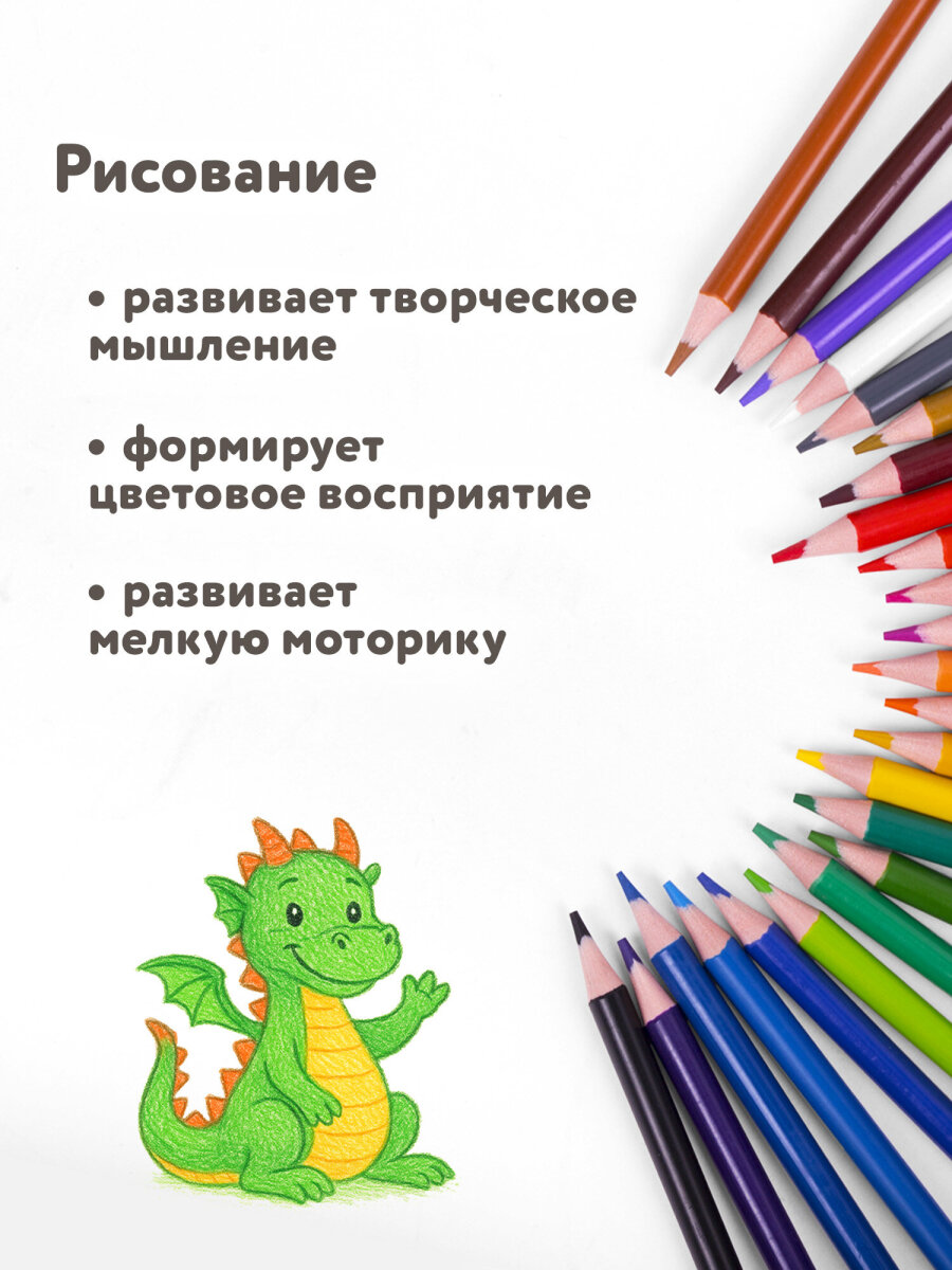 Карандаши цветные Brauberg 12 шт. - фото 9