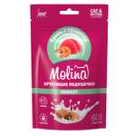 Лакомство для кошек и котят Molina подушечки с начинкой из тунца и креветок 60г