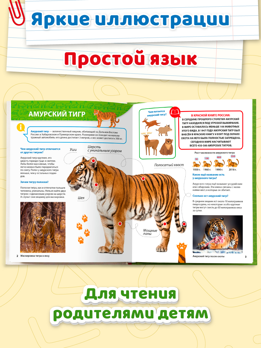 Книга Проф-Пресс Первая детская энциклопедия Всё о красной книге малышам - фото 2