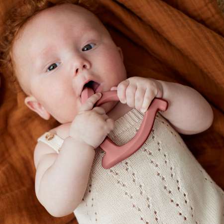 Прорезыватель Everyday baby Котик
