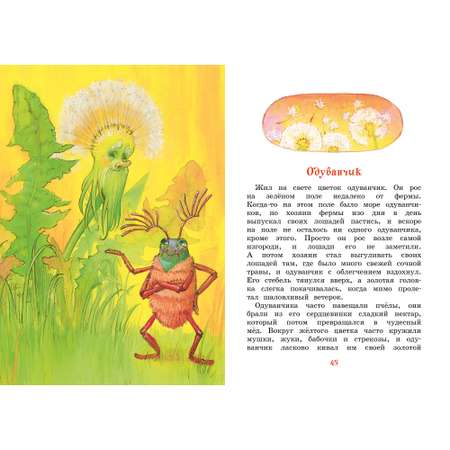 Книга МАХАОН Медвежонок Тедди и другие сказки Блайтон Э.