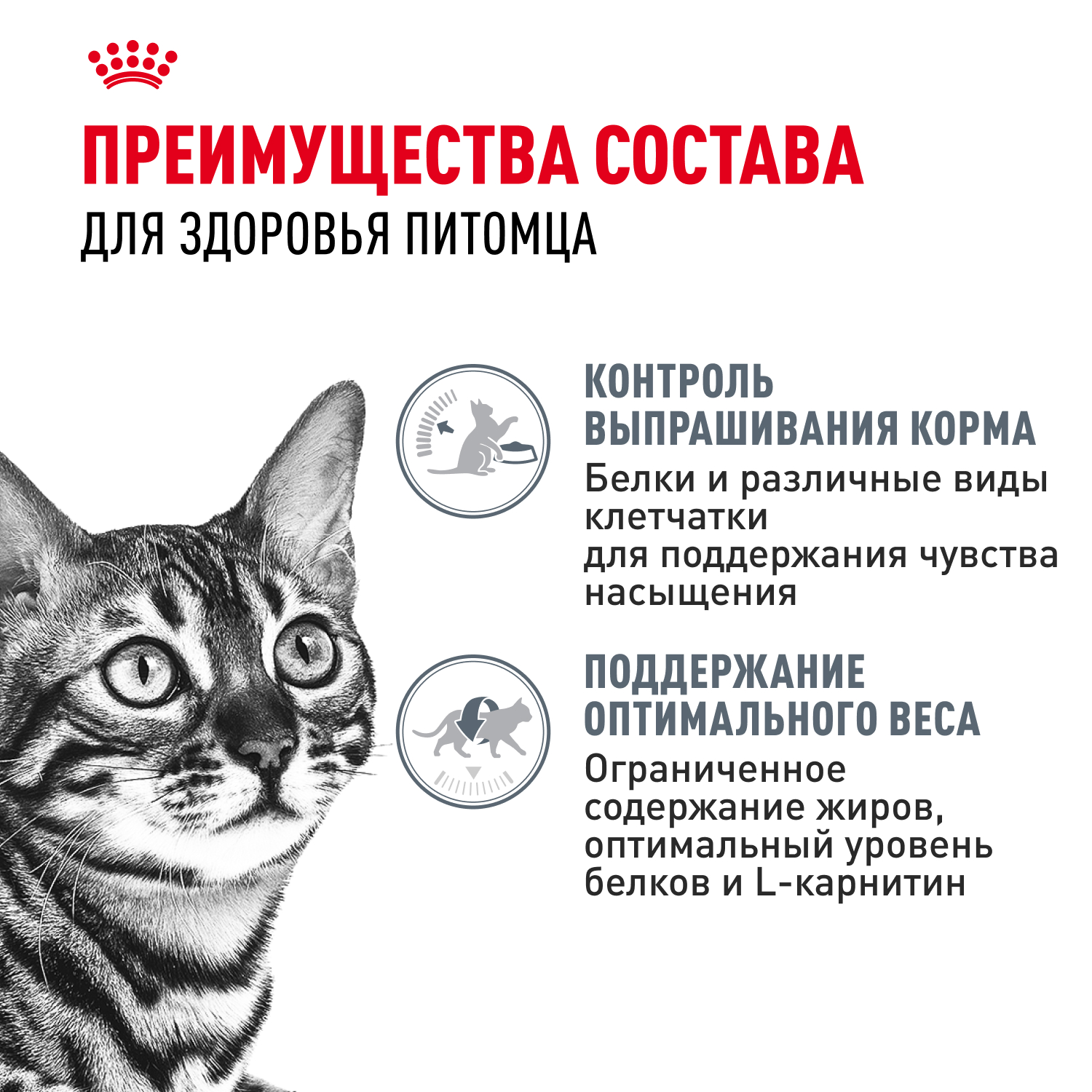 Корм для кошек ROYAL CANIN Appetite Control Care для контроля выпрашивания корма 400г - фото 3