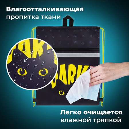 Мешок для обуви Brauberg