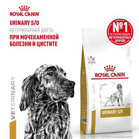 Корм для собак ROYAL CANIN Veterinary Diet Urinary S/O LP 18 при заболеваниях дистального отдела мочевыделительной системы 2кг
