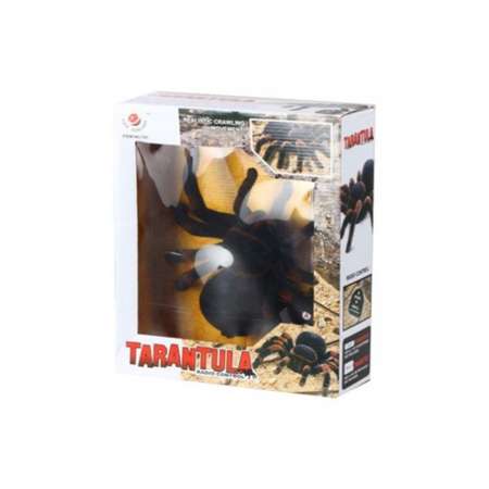 Паук РУ Cute Sunlight Toys Tarantula