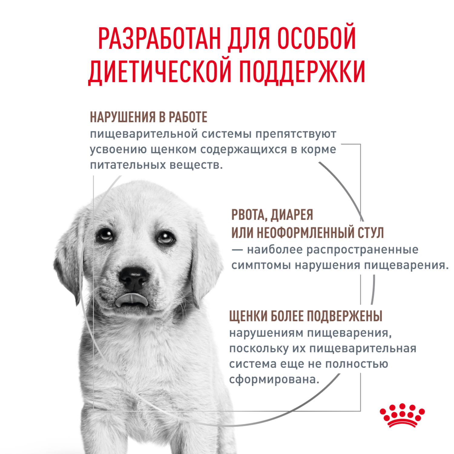 Корм для щенков ROYAL CANIN Gastro Intestinal Junior GIJ29 при нарушении пищеварения 2.5кг - фото 2