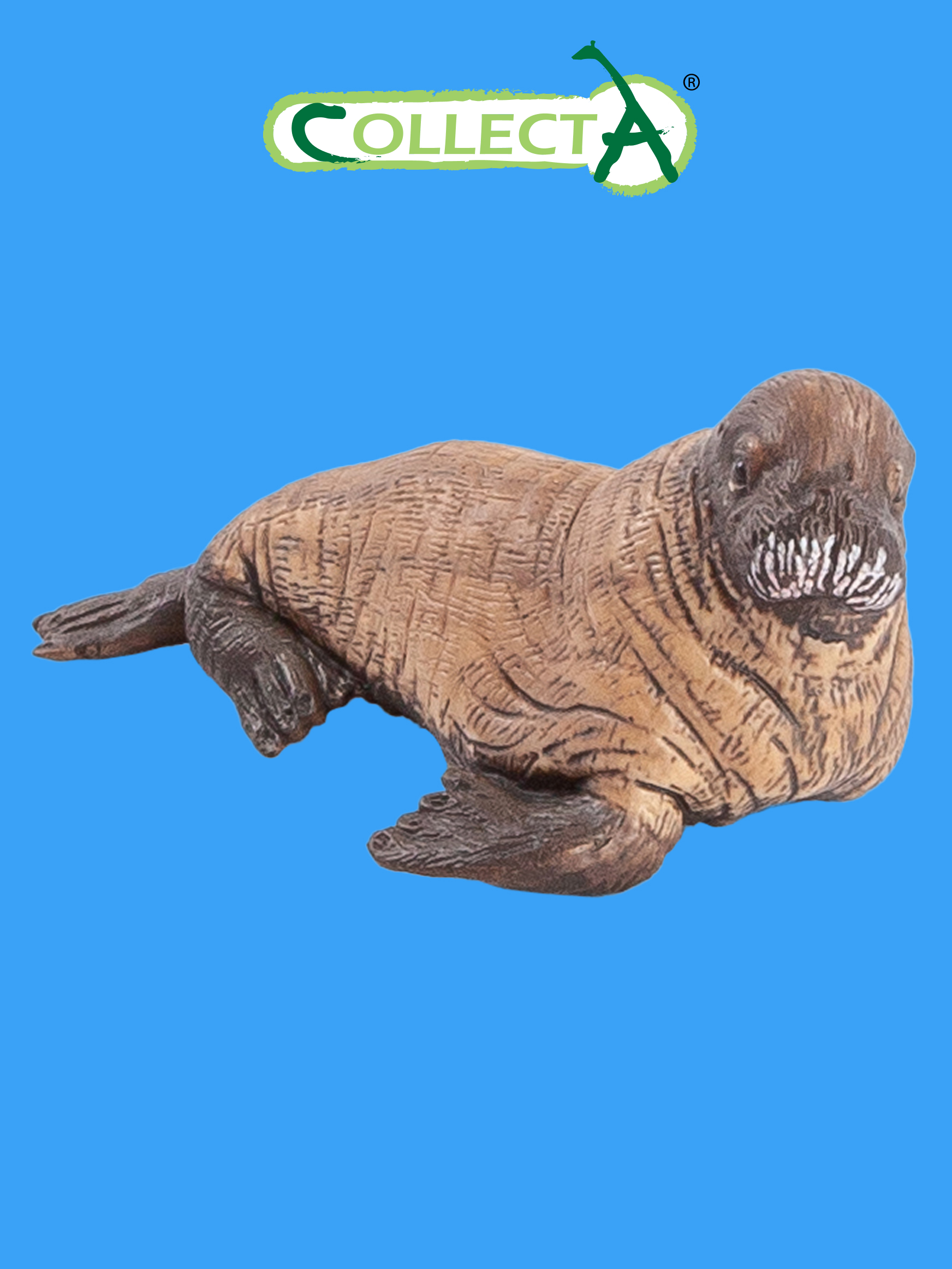 Фигурка Collecta Детёныш моржа - фото 1