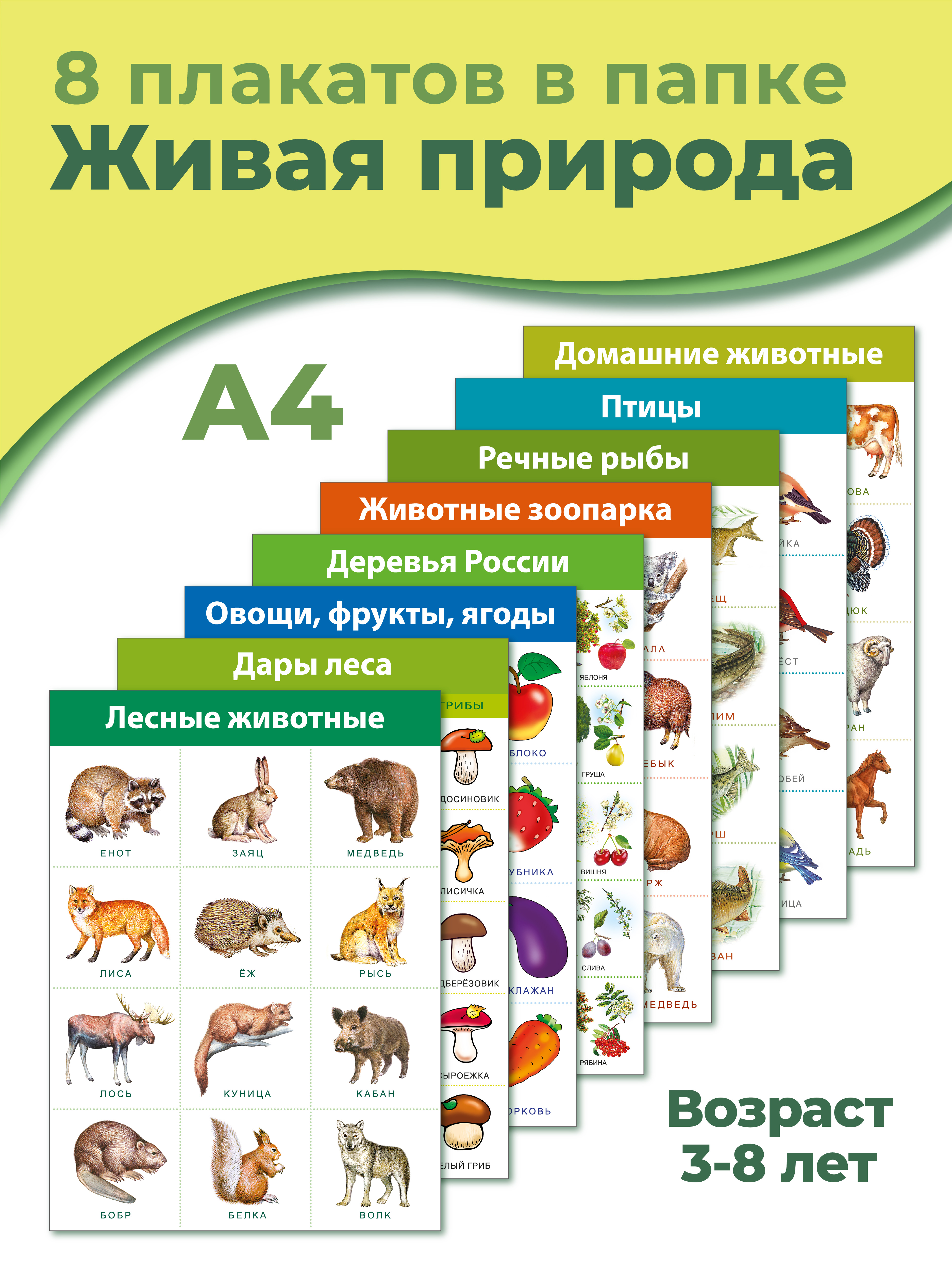 Настольная игра Дрофа-Медиа - фото 1