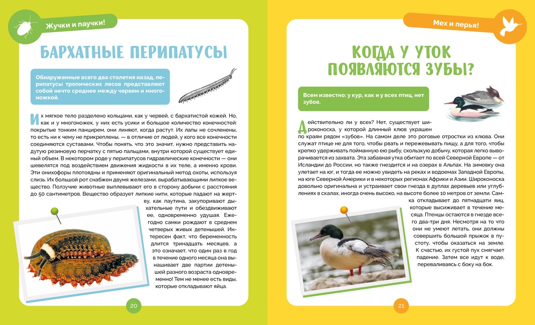 Книга Махаон Альбуи В. Невероятные животные - фото 7