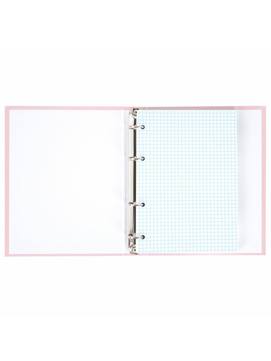 Тетрадь со сменным блоком Brauberg клетка 120 лист. - фото 7