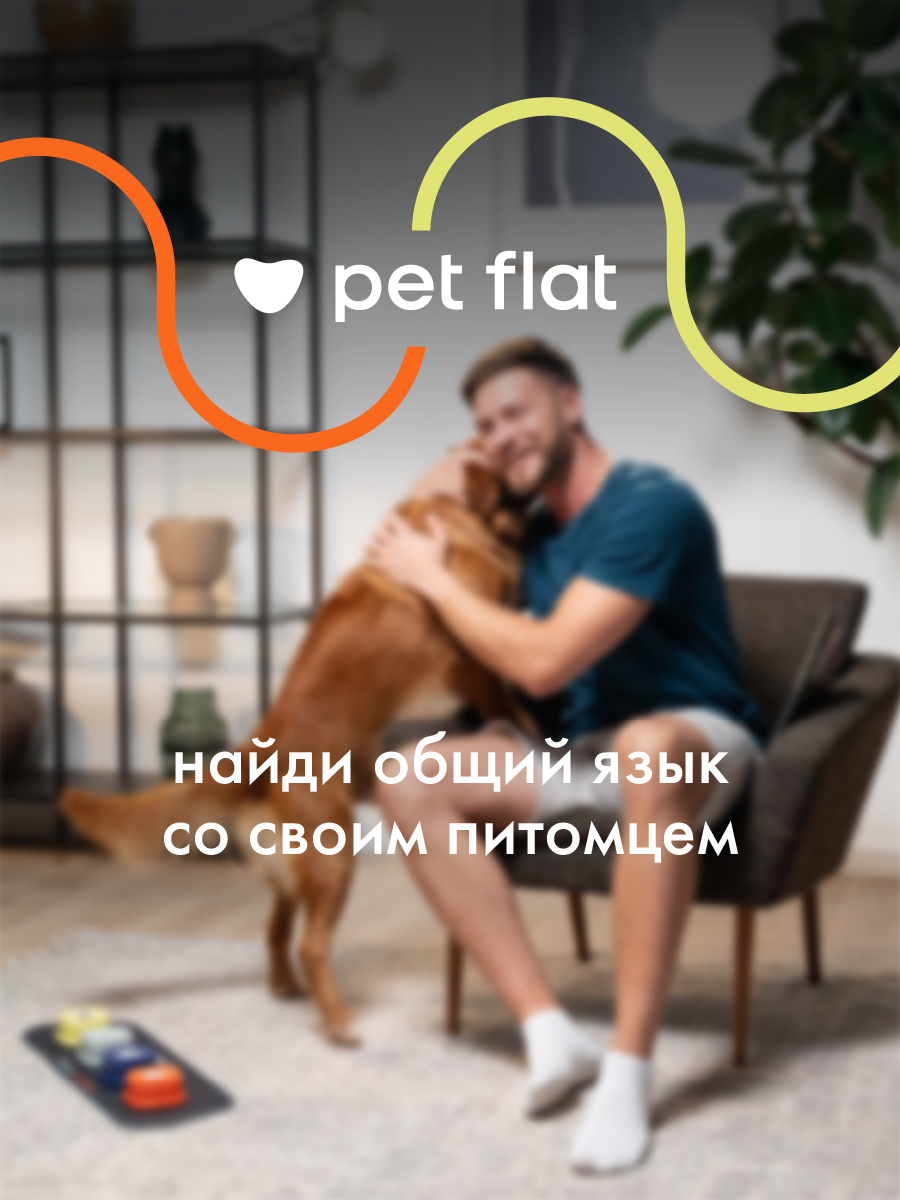Интерактивная панель Pet Flat Собачья игрушка со звуковыми кнопками - фото 7