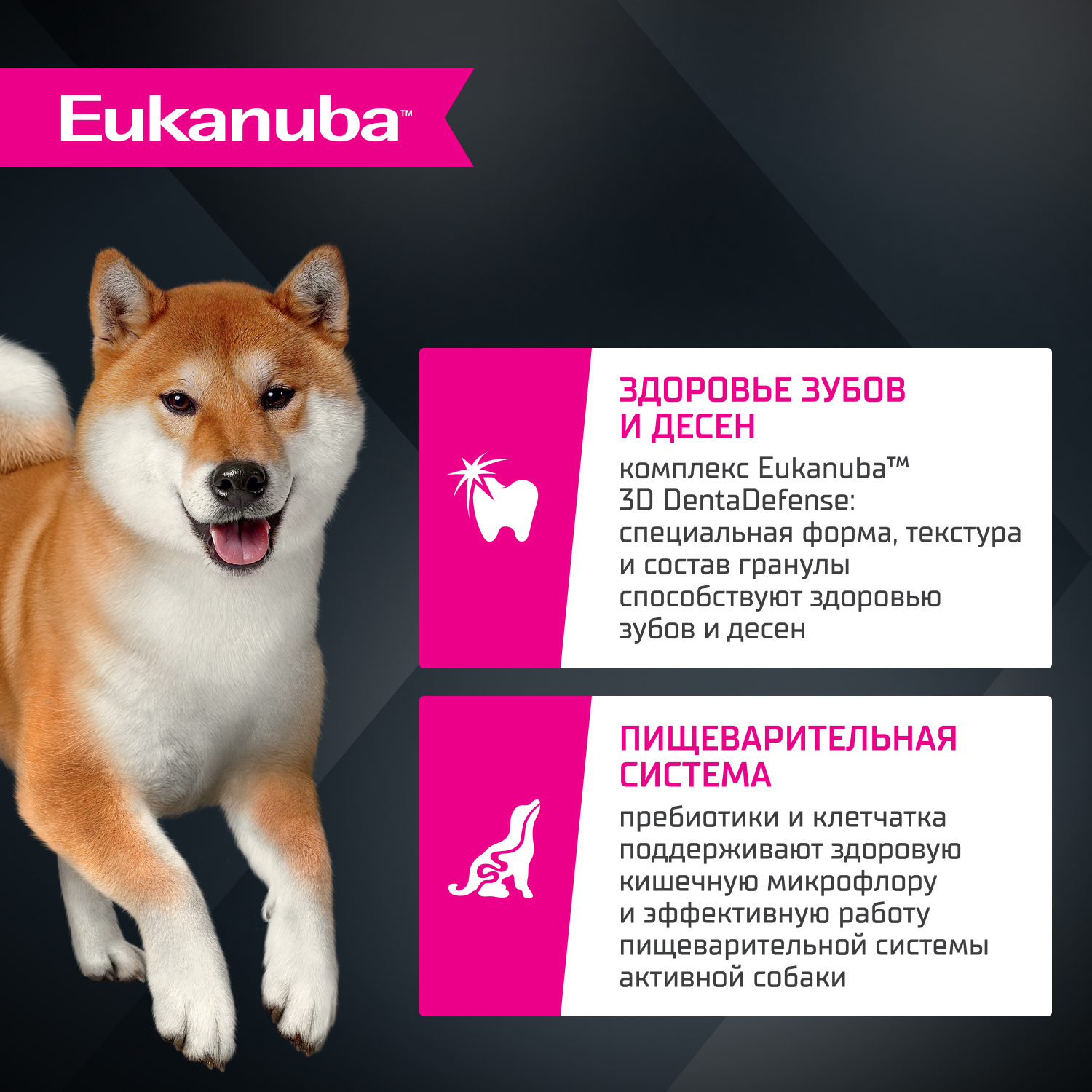 Корм для собак сухой для взрослых собак Eukanuba мелких и средних пород старше 1 года с ягненком 7кг - фото 3