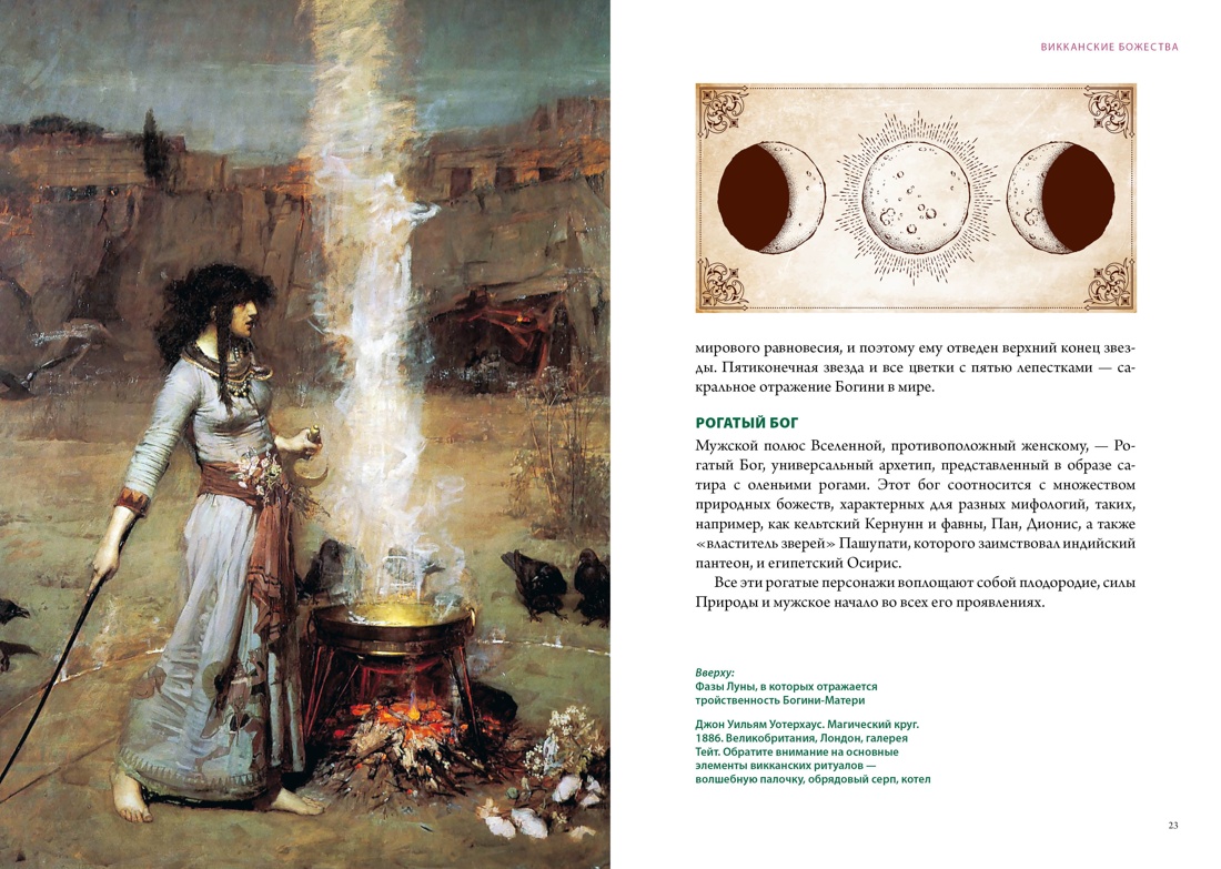 Книга КОЛИБРИ Магия трав и волшебный бестиарий Сборный комплект из 2-х книг с шоппером - фото 8