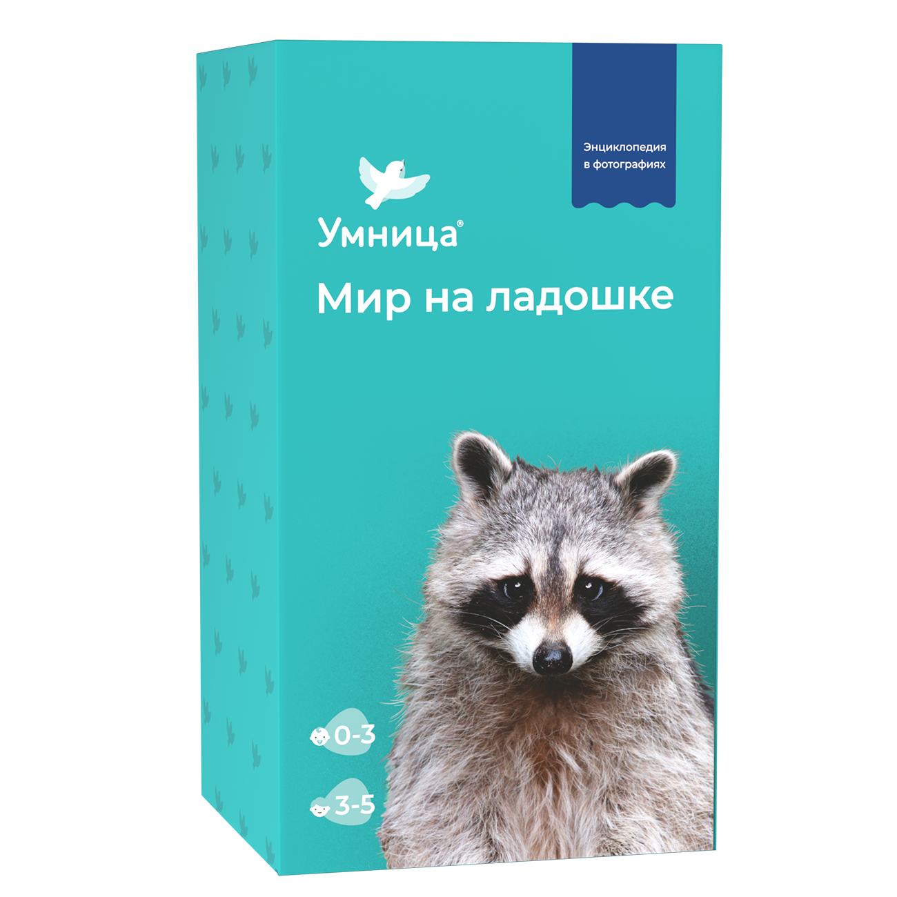 Развивающая игра Умница Мир на ладошке Енот. Энциклопедия для детей - фото 1