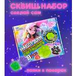 Игровой набор Винтер для создания сквишей DDM1750
