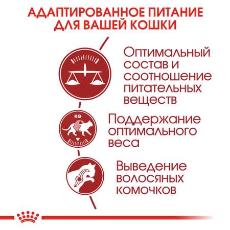 Корм для кошек ROYAL CANIN Fit 32 для взрослых умеренно активных кошек от 1года сухой 0.2кг