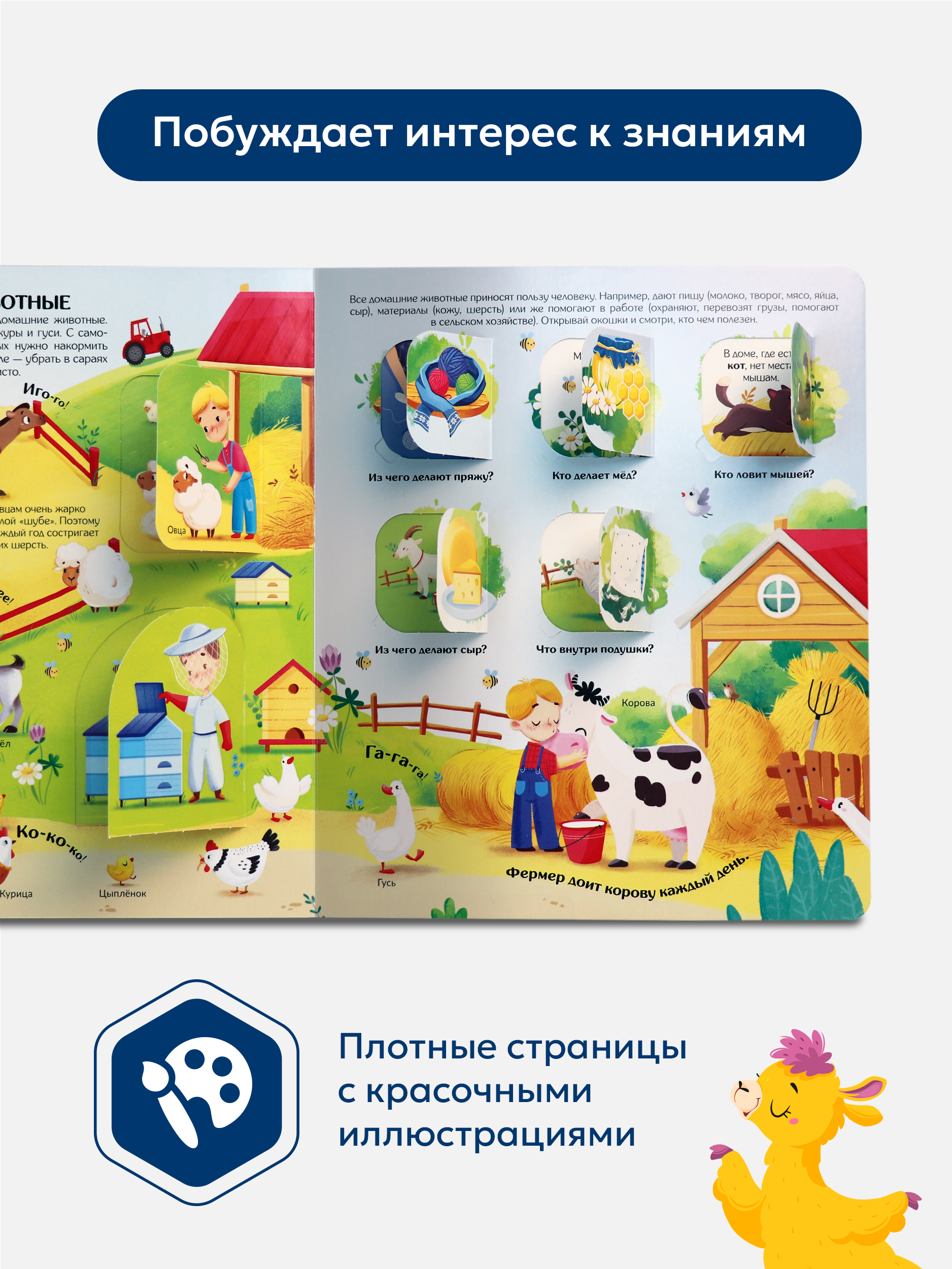 Книжка с окошками Мир Животных Malamalama Детская энциклопедия - фото 6