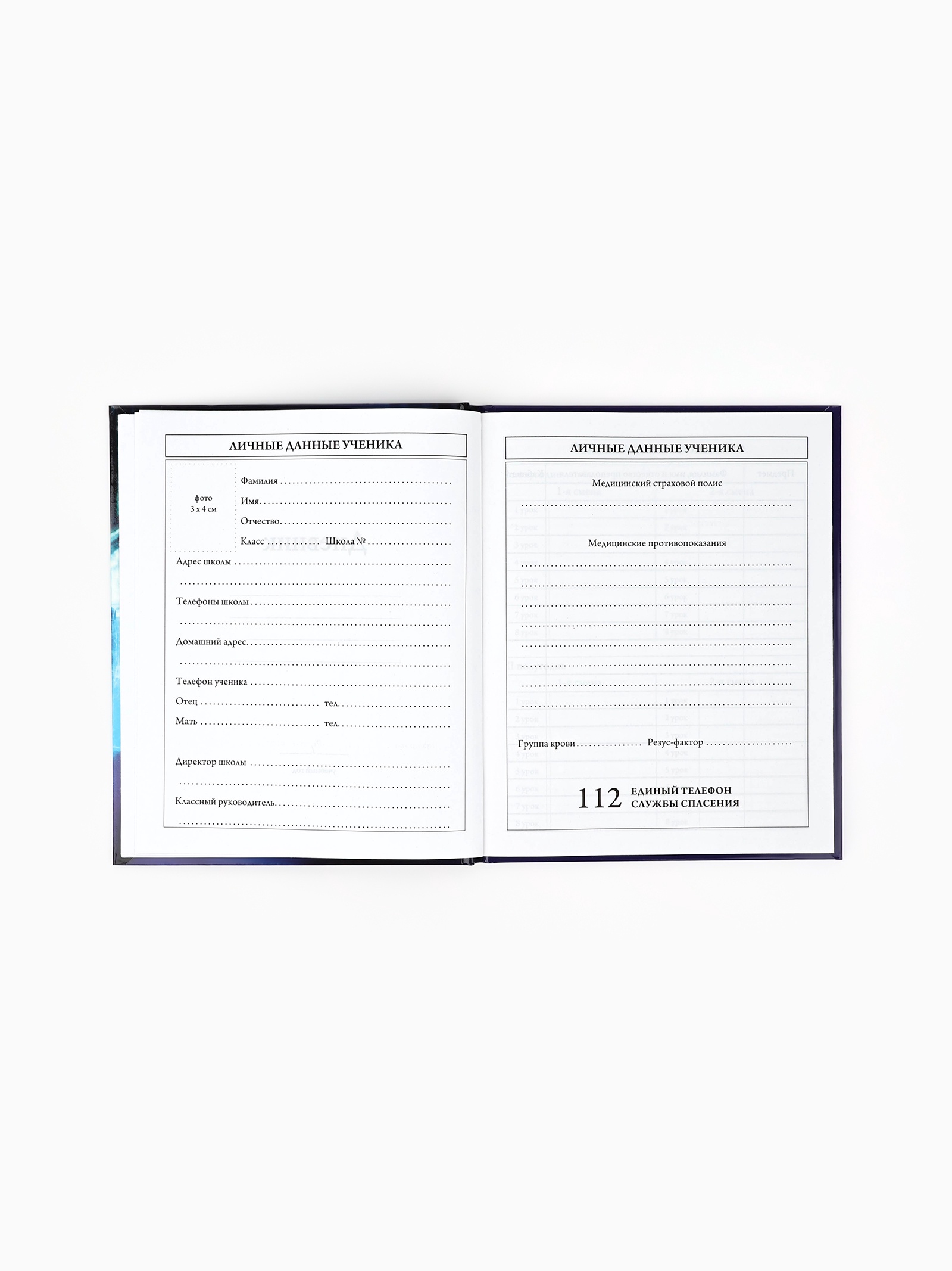 Дневник ArtFox STUDY школьный для 1-4 класса - фото 3