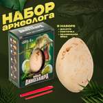 Набор для раскопок Школа Талантов