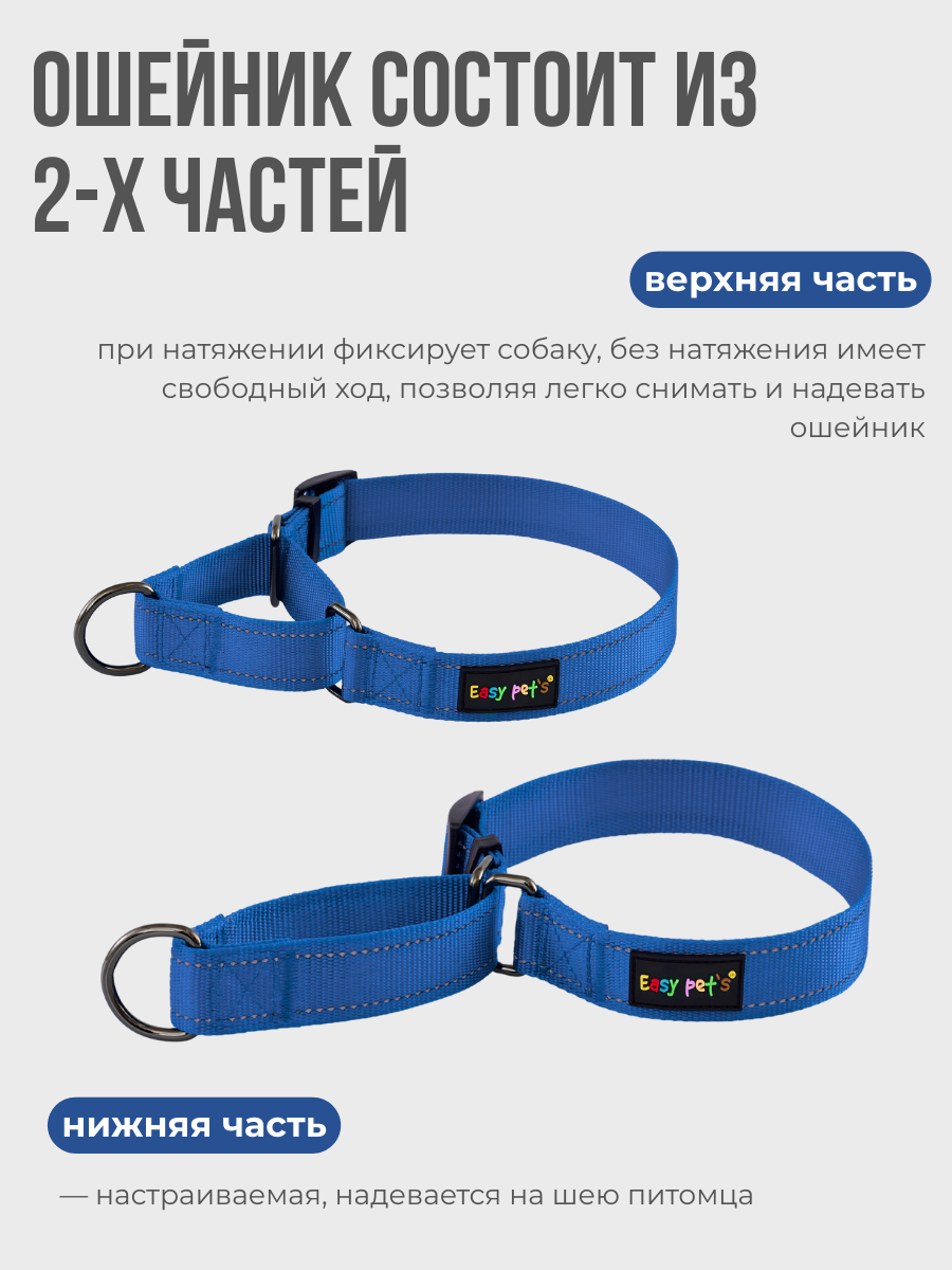 Ошейник для собак Easy Pets 5003 Martingale синий р-р L 45-70см - фото 3