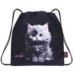 Мешок для обуви SkyName