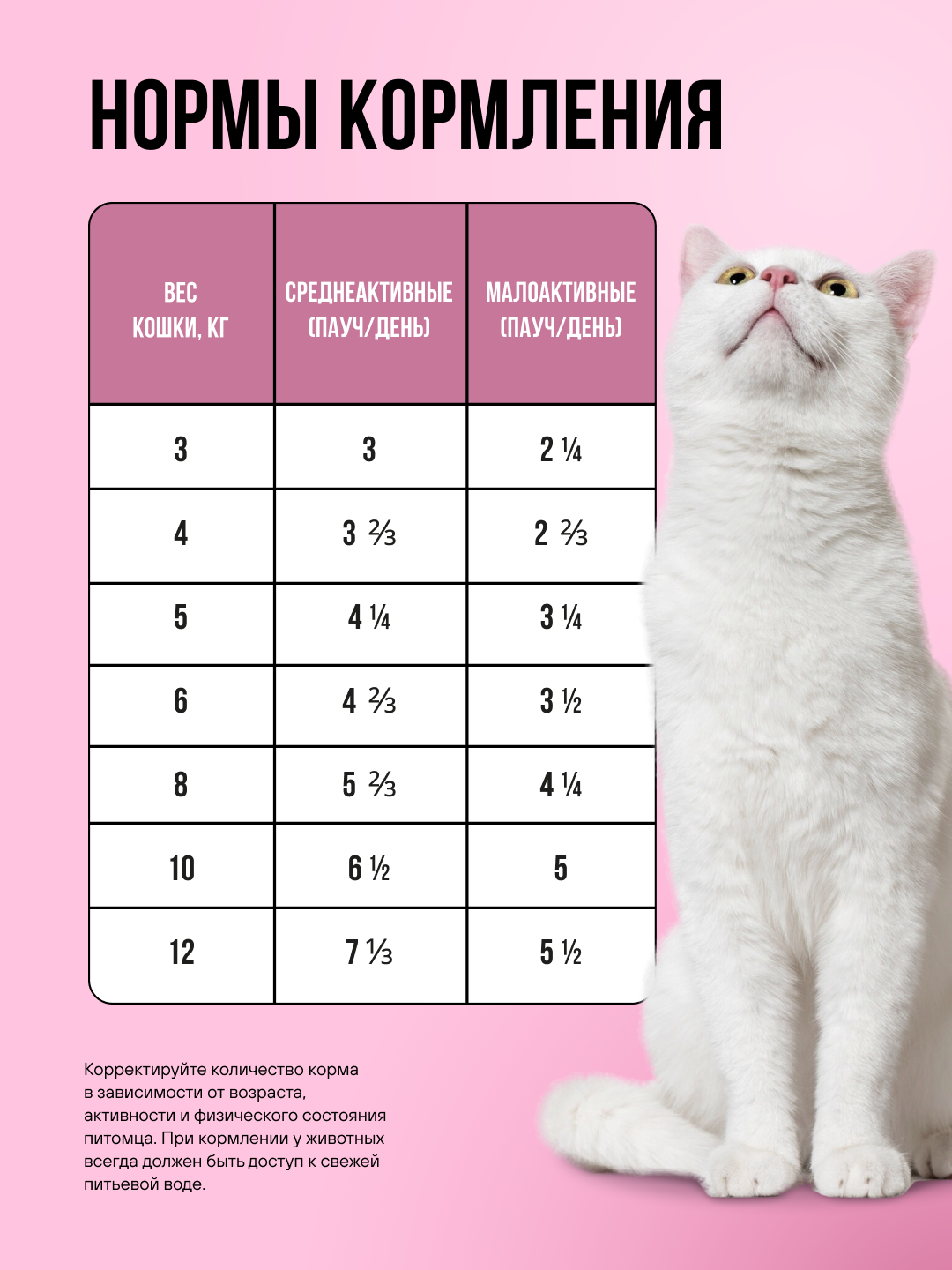 Полнорационный влажный корм BOWL WOW в соусе для здоровой кожи и шерсти кошек с индейкой и шпинатом 85г - фото 5