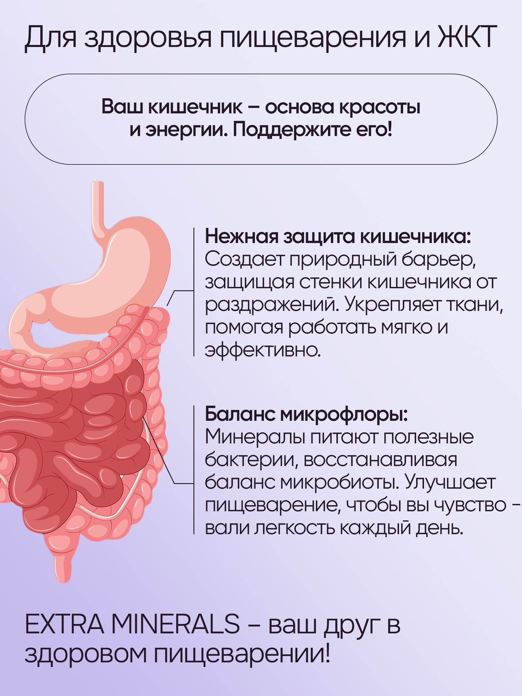 Цеолит и диатомит сорбент для детокса Bionormula Экстра минералы Цеолит пищевой+Диатомит Bionormula - фото 11