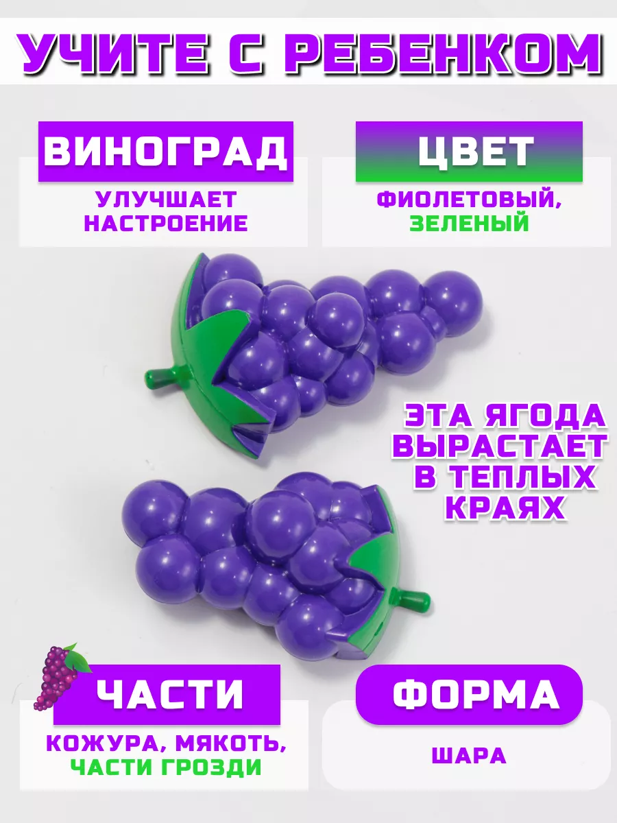 Игрушка TIPTOPOLIS Фрукты 11 предм. - фото 7