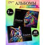 Альбом ШКОЛЬНЫЙ МИР Детский А4 40 лист. 2 шт.