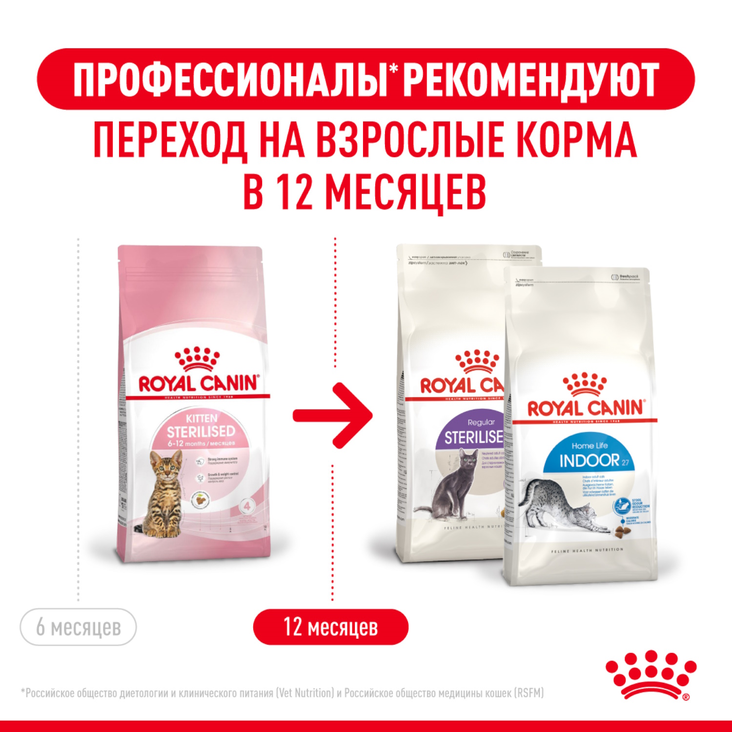 Корм сухой для котят ROYAL CANIN Sterilised 400г стерилизованных - фото 11