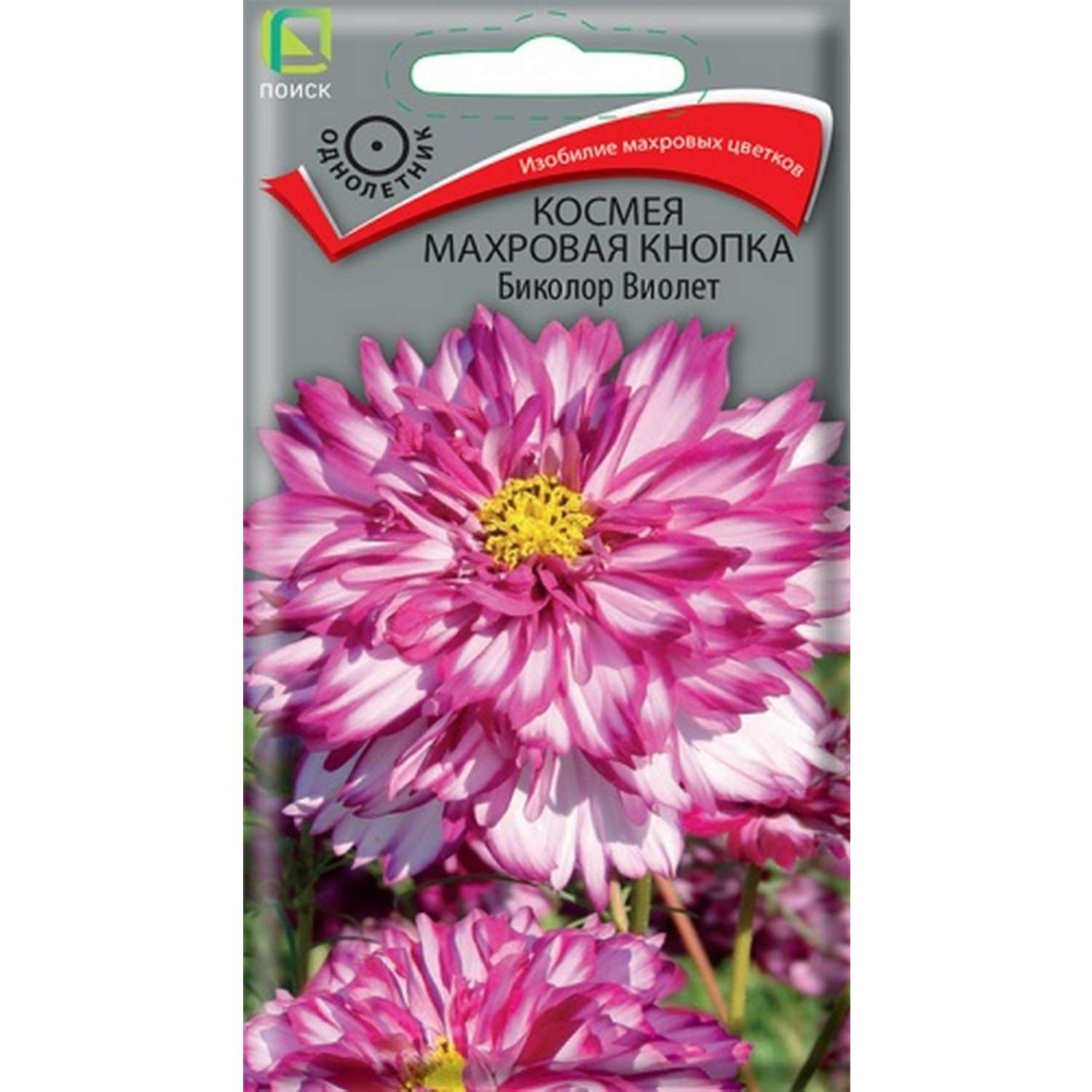Космея ПОИСК Махровая кнопка Биколор Виолет 0.1г - фото 1