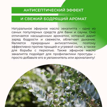 Масло Siberina Эвкалипт