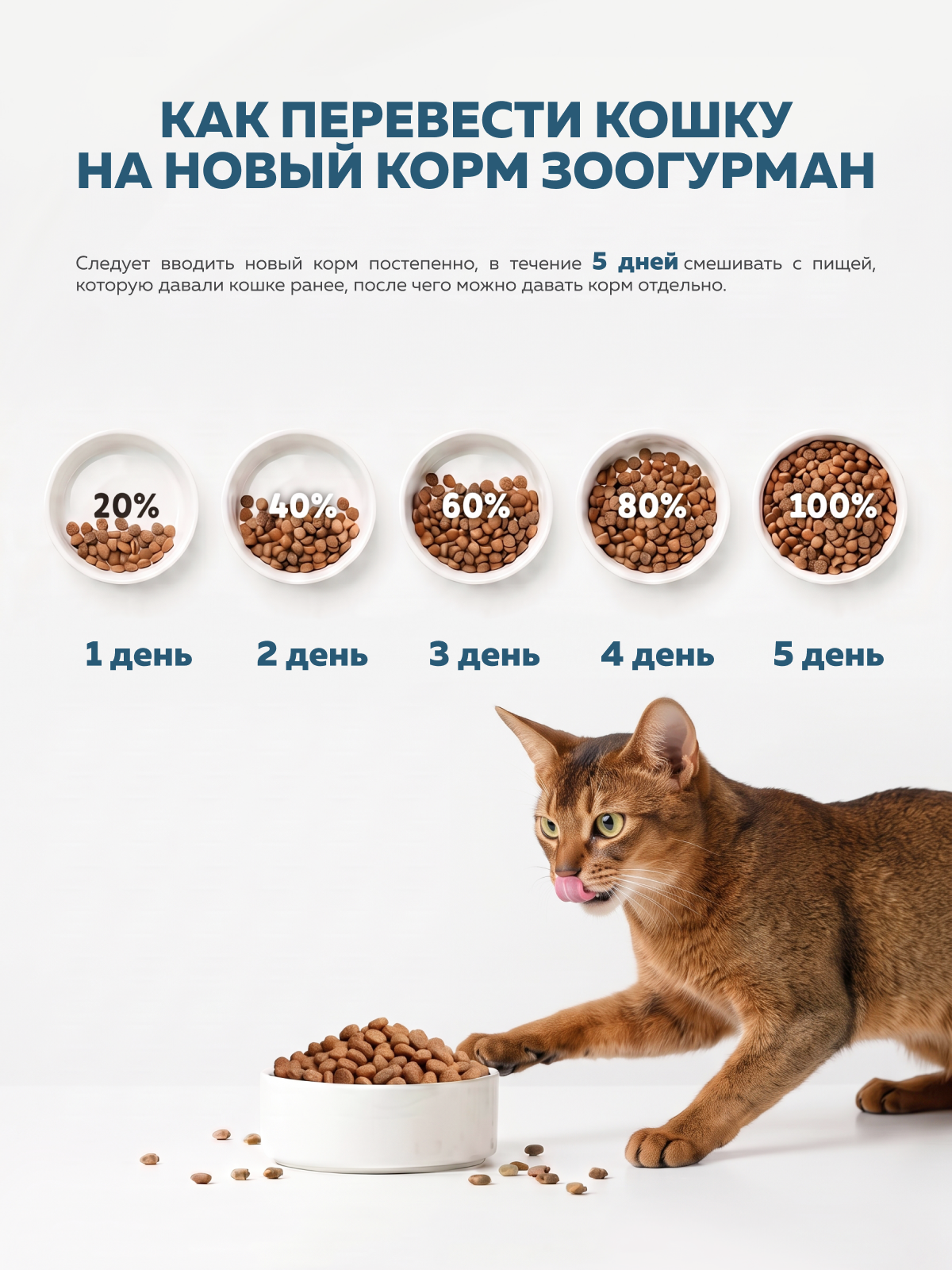 Корм сухой Зоогурман Home Life Курочка 10 кг - фото 6