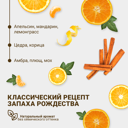 Ароматический диффузор Aroma Republic Christmas punch