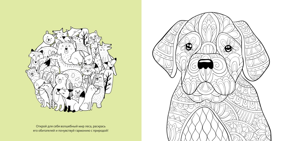 Книга Махаон Арт-раскраска антистресс. Митяева С. Животные-мандалы - фото 6