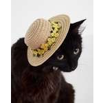 Шляпа для собак и кошек Зоозавр