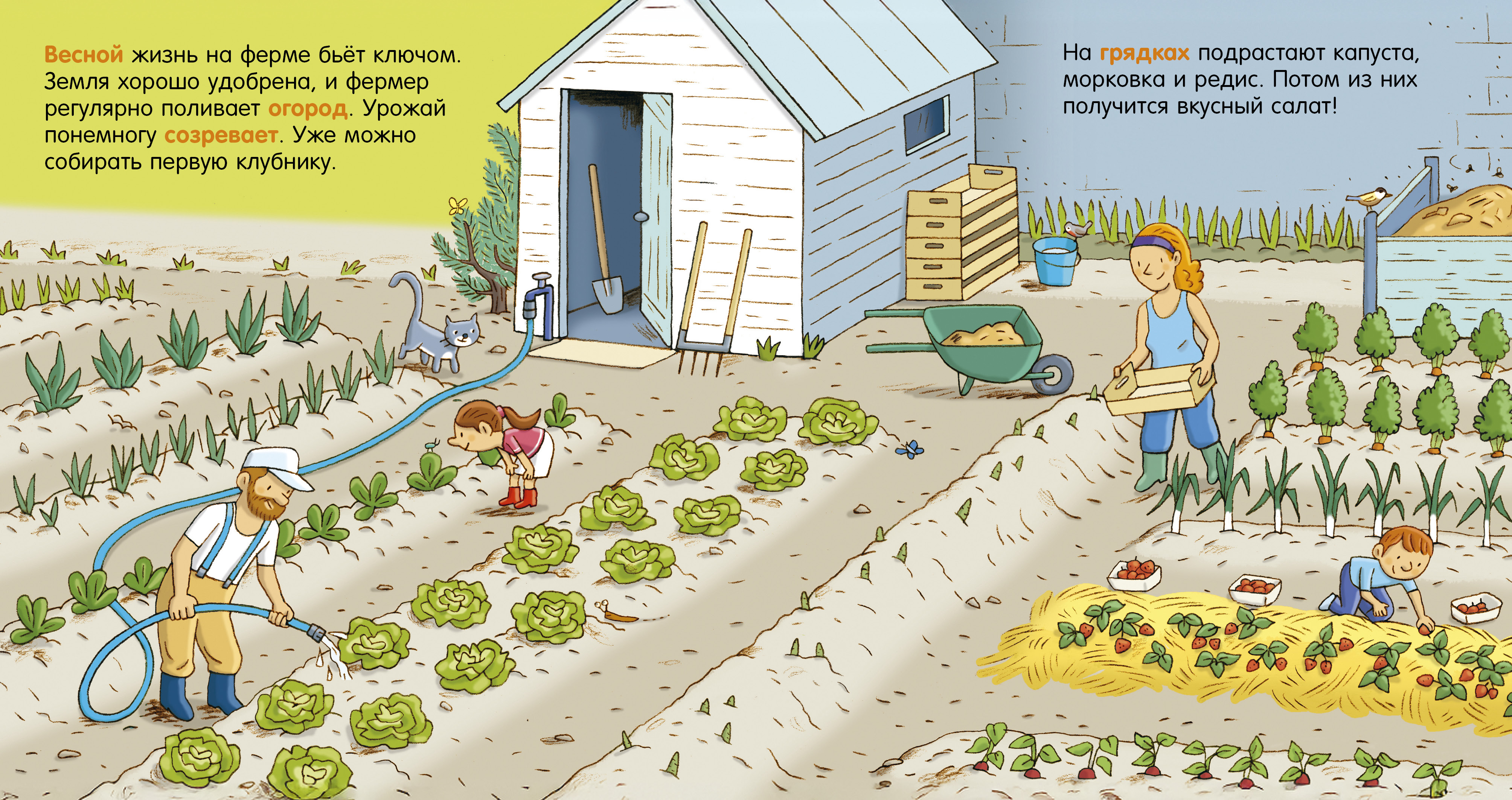 Как устроен мир? Clever Ферма - фото 4