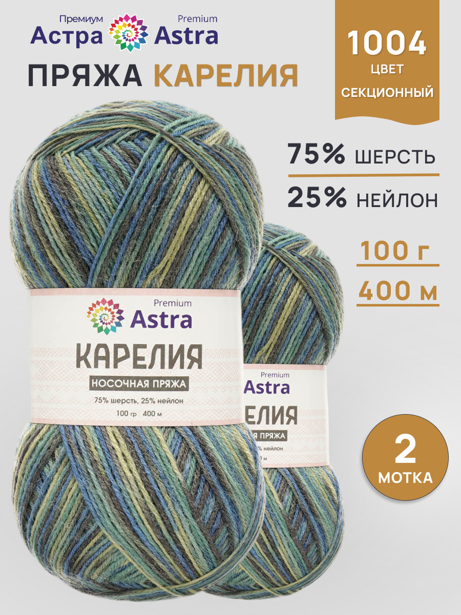 Пряжа для вязания Astra Premium карелия носочная шерсть нейлон 100 гр 400 м цвет 1004 2 мотка - фото 1