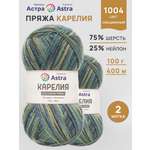Пряжа для вязания Astra Premium карелия носочная шерсть нейлон 100 гр 400 м цвет 1004 2 мотка