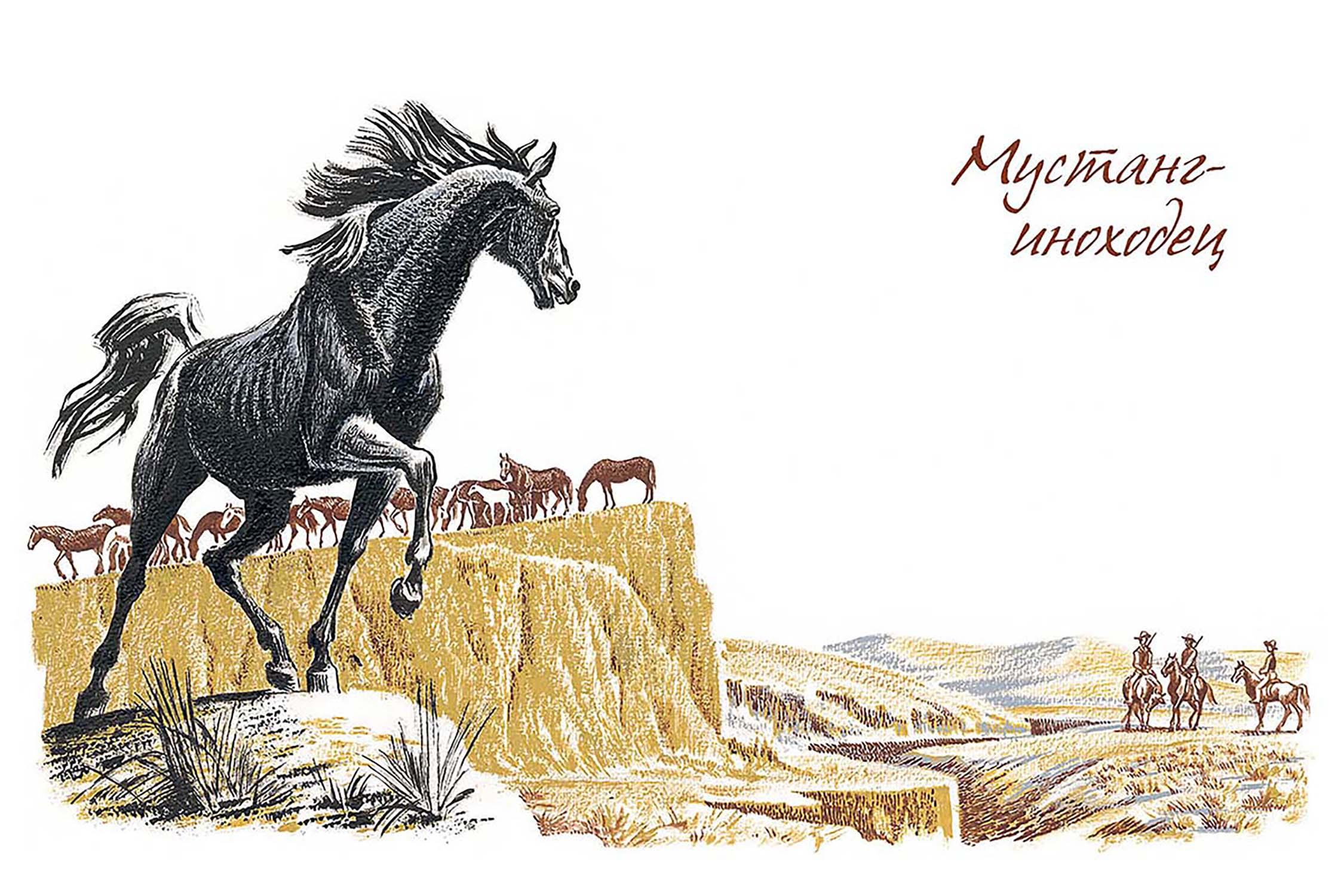 Книга Издательство Речь Рассказы о животных - фото 4