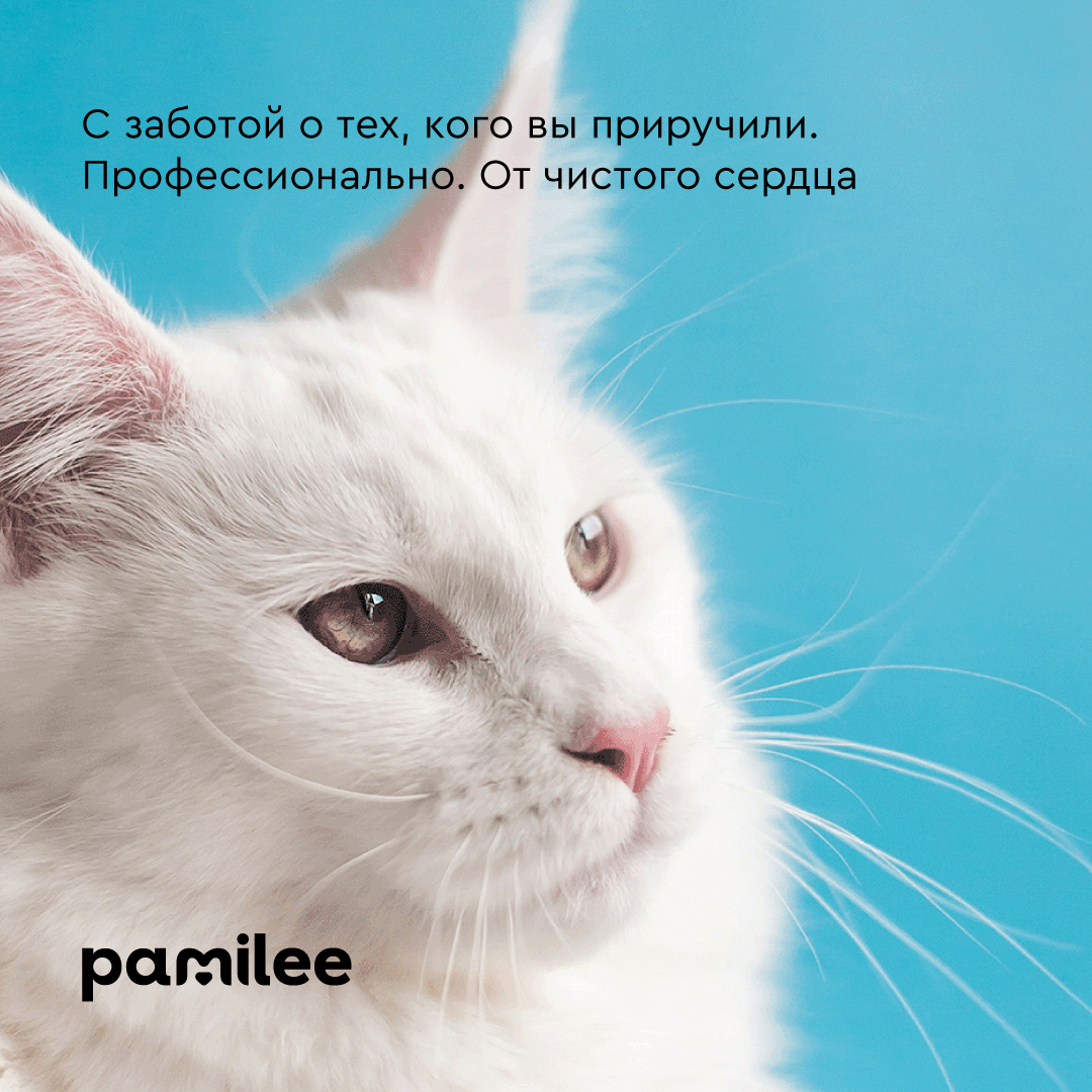 Лосьон для животных Pamilee Для глаз собак и кошек ClearEye - фото 9