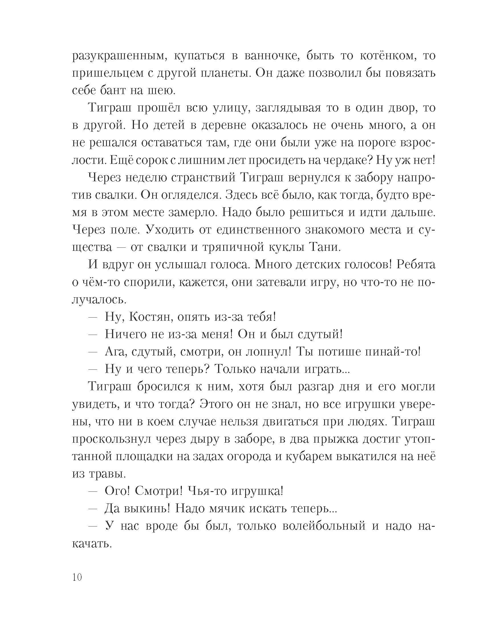 Книга Стрекозa Тиграш - фото 10
