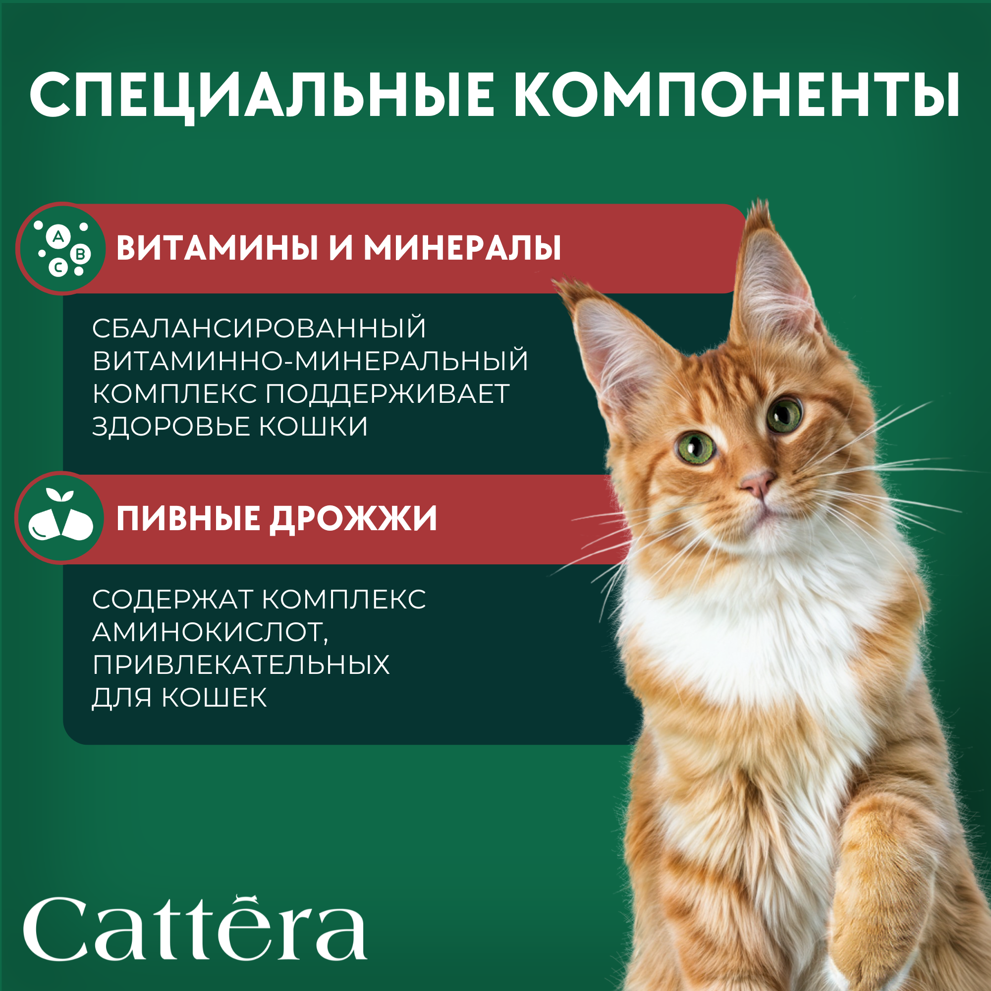 Корм влажный Cattera консервированный полнорационный с говядиной в соусе для взрослых кошек - фото 3