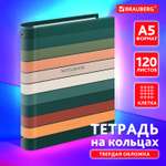Тетрадь со сменным блоком Brauberg клетка 120 лист.