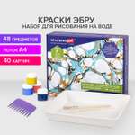 Эбру Brauberg