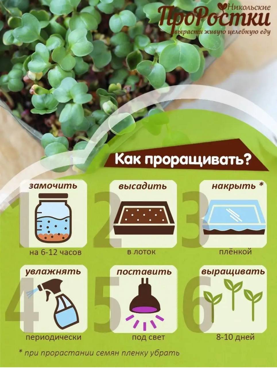 Семена для микрозелени MegaMedia редис - фото 7